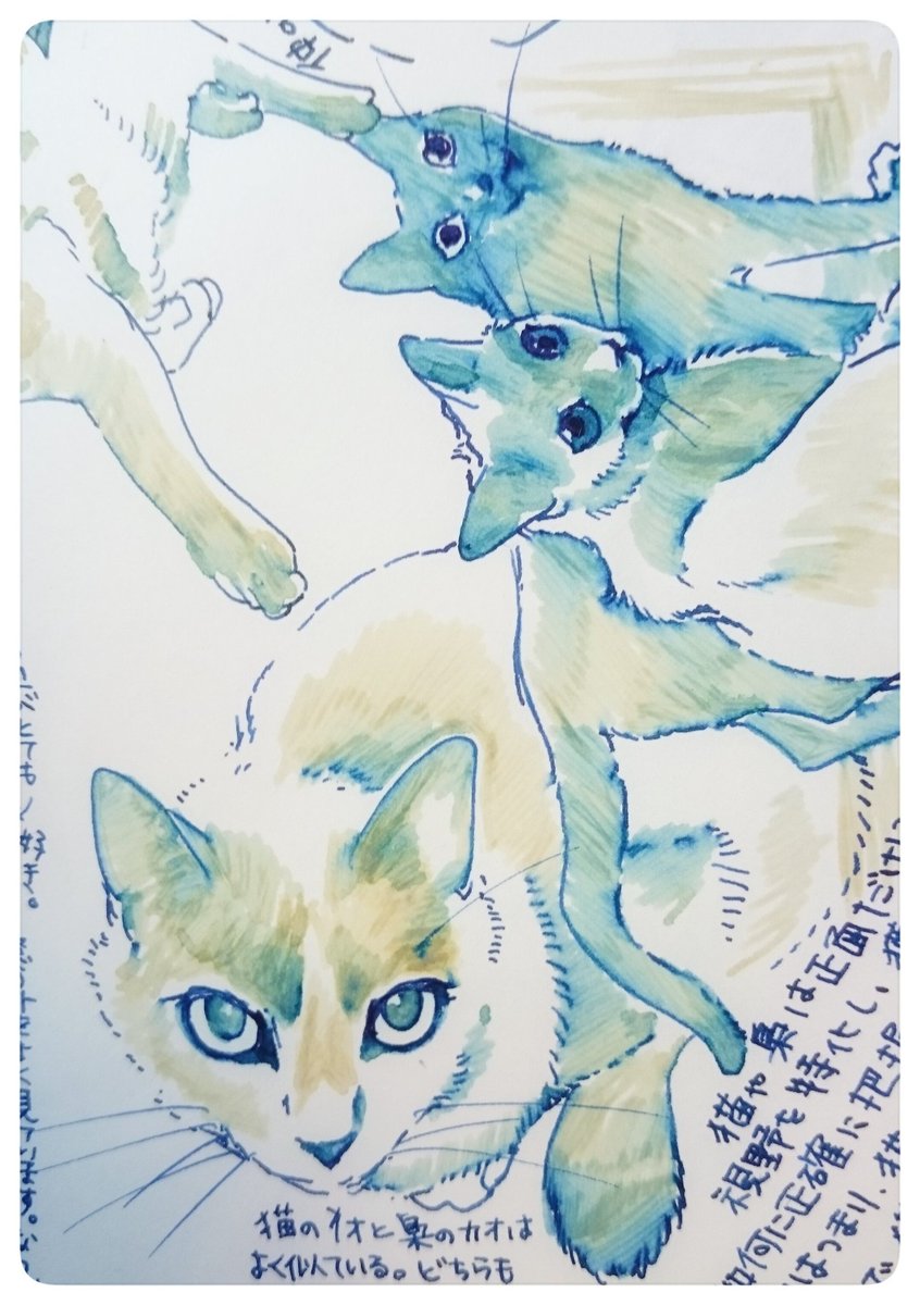 裏花火 猫の顔をリアルにかつ 魅力的に描くのは本当に難しい 相変わらず絵と文字で埋めてます 埋めるよ 埋めるよ ブックカバーなんかに使えるようにしたいんだけど文字なしではいられなかった 万年筆イラスト部 T Co 8xlyieup8l 裏花火 猫の顔をリアルにかつ 魅力的に描くのは本当に難しい 相変わらず絵と文字で埋めてます 埋めるよ 埋めるよ ブックカバーなんかに使えるようにしたいんだけど文字なしではいられなかった 万年筆イラスト部 T Co 8xlyieup8l