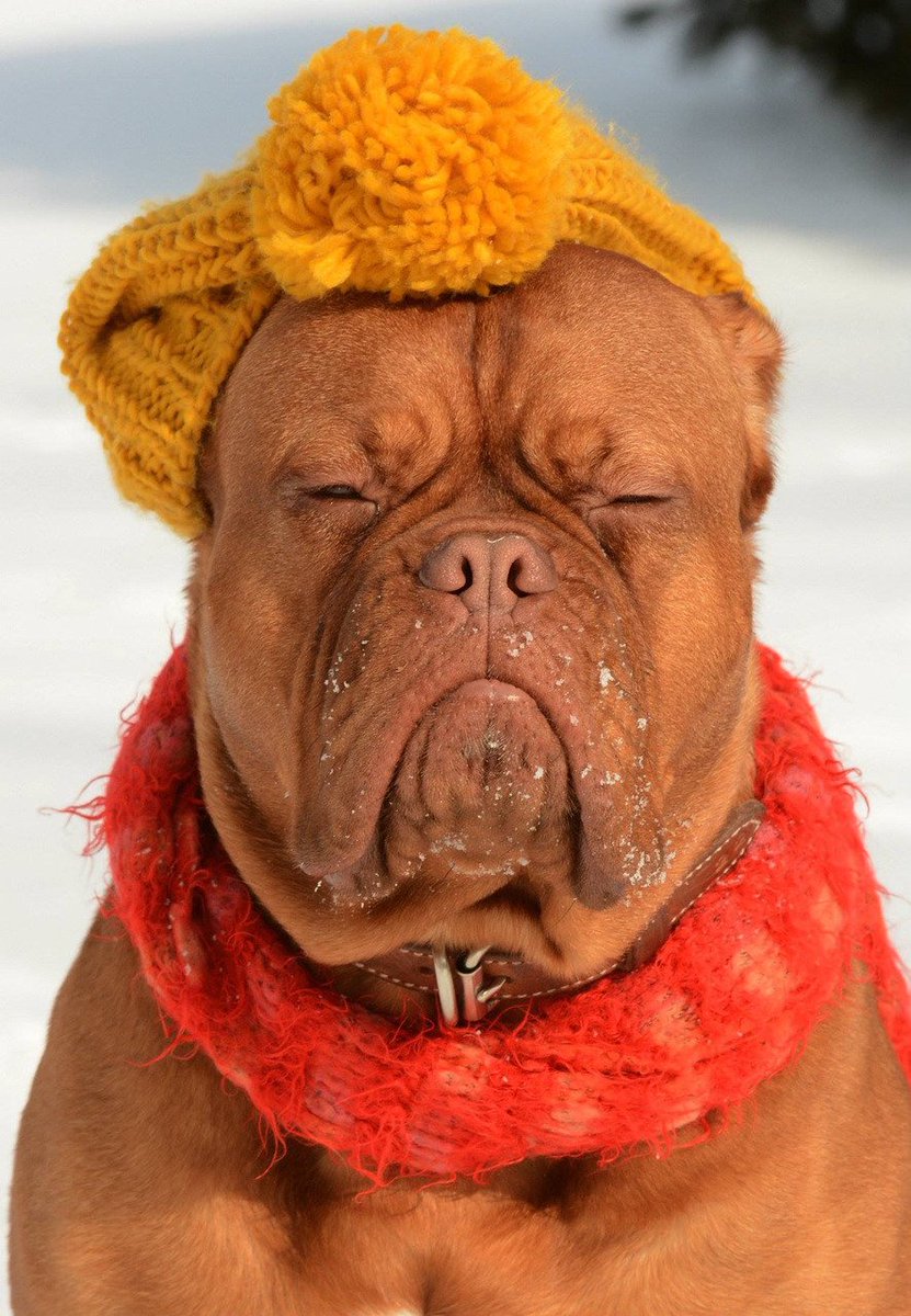 Montagsgesicht
Foto: Runia
bit.ly/1V83Dyt