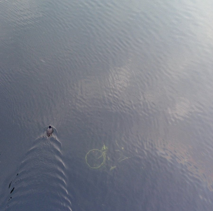 Wasserrad
Foto: TheAtzenking123
bit.ly/1Ubc5wT