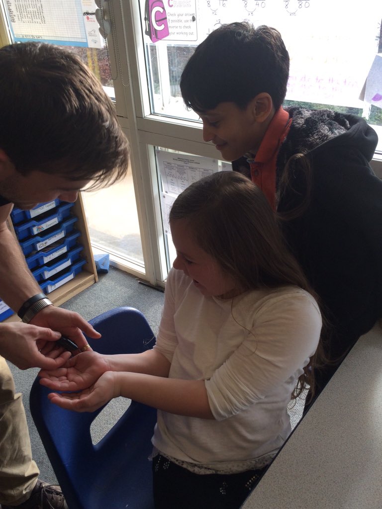 MillenniumSE10's tweet photo. Meeting some creepy crawlies from the rainforest! Snails, tarantulas and cockroaches so far... #warholclass https://t.co/zhxz4fxv26