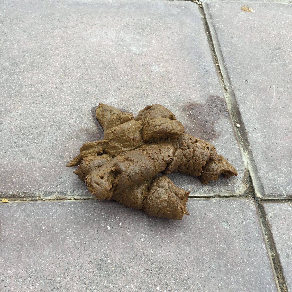 miguelfcaba's tweet photo. Hay que mala gente para dejarse esto en la calle #Loranca #Fuenlabrada @AytoFuenlabrada @vecinosfuenla #Caca #Perro https://t.co/GA0A5IsWoB