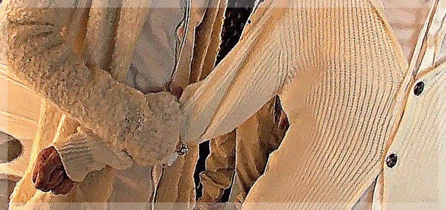 kvur_'s tweet photo. ㅤ 

　　　　俺　御　他
　　　　だ　前　の
　　　　け　は　奴
　　　　観　　　観
　　　　て　　　ん
　　　　ろ　　　な

　　　　　　　　RTW　┈　FLW

#RTしたnrさんbotさんフォローする https://t.co/F0t4evTwOU