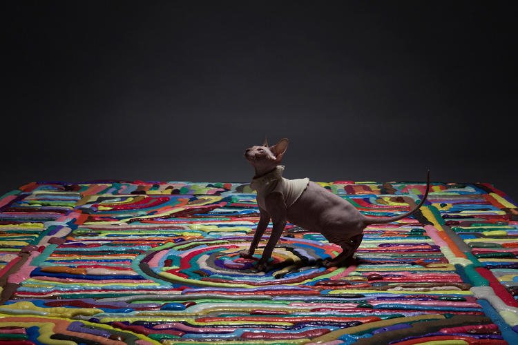 injection100's tweet photo. Carpets made by piping foam out of syringes!! #DesigningStuff #creative
#artistic https://t.co/vwfyLj9m6l https://t.co/IK8vvC0lA2