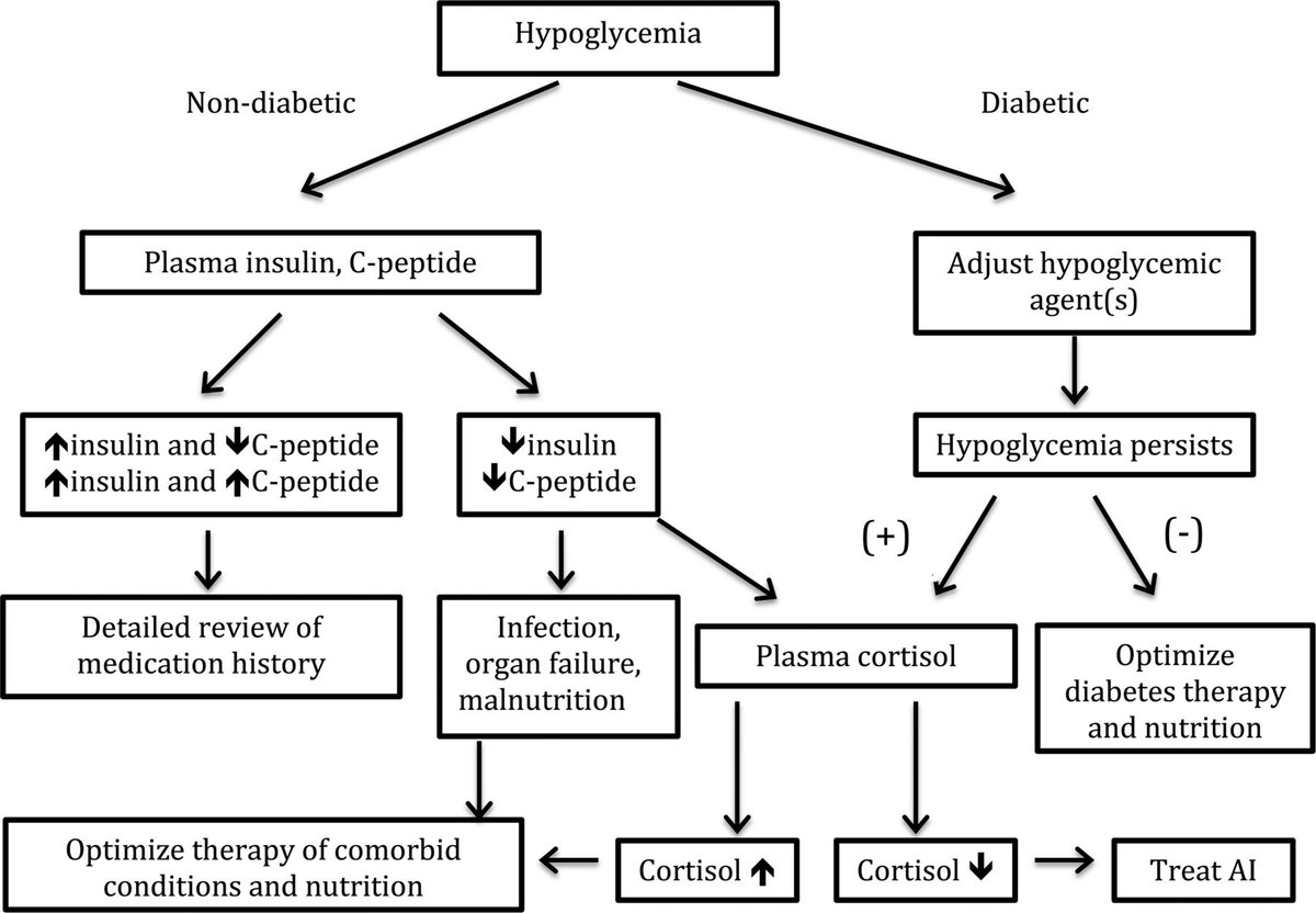 non diabetic hypoglycemia