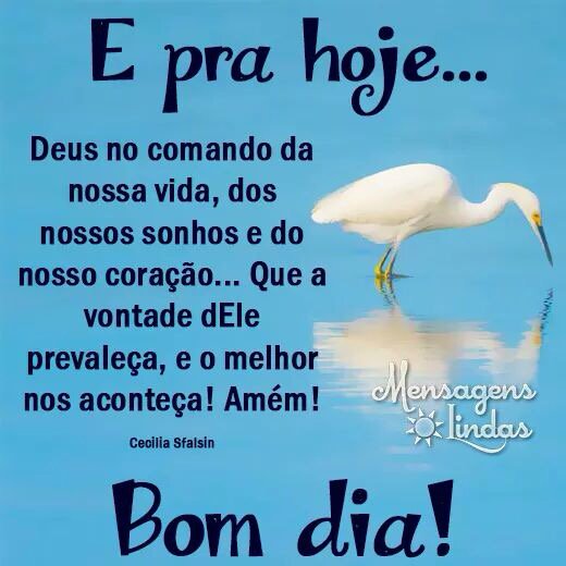 AlineAccioly#Timbeta (@accioly_s) on Twitter photo 