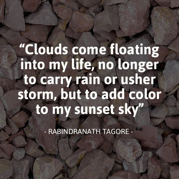 CompleteOffice3's tweet photo. Midweek inspiration! #InspirationalQuotes https://t.co/lrPkET9Qmy