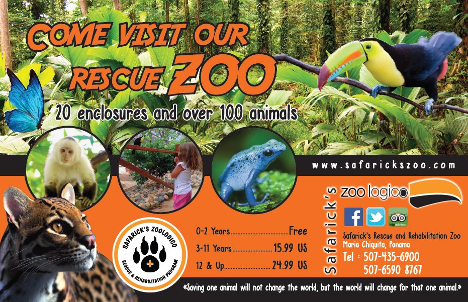 Safaricks Zoologico tweet media