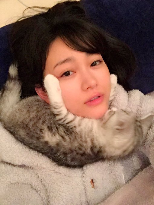 横になってるとずっと顔の側にくっついてる甘えんぼのはまちくん。 でも油断すると結局ガブリっ  #西野はまち #スコティッシュフォールド #ねこ #cat https://t.co/F1Lafeb2ny<a href="/tag/%E8%A5%BF%E9%87%8E%E3%81%AF%E3%81%BE%E3%81%A1"class="tags">#西野はまち</a><a href="/tag/cat"class="tags"><span>#cat</span></a><a href="/tag/%E3%81%AD%E3%81%93"class="tags"><span>#ねこ</span></a><a href="/tag/%E3%82%B9%E3%82%B3%E3%83%86%E3%82%A3%E3%83%83%E3%82%B7%E3%83%A5%E3%83%95%E3%82%A9%E3%83%BC%E3%83%AB%E3%83%89"class="tags"><span>#スコティッシュフォールド</span></a>