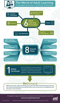 Business_Games's tweet image. RT @atd: Check out this new #infographic on #AdultLearning!  hubs.ly/H01Vl8q0  #learninginfographic