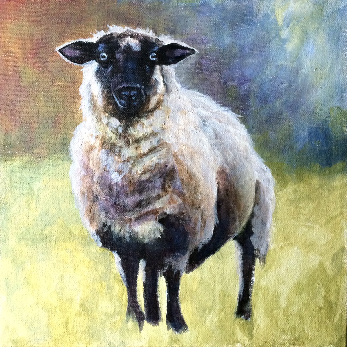 Karen Xarchos on Twitter: &quot;10x10 Acrylic Sheep Painting on Canvas..... #art #sheep #acrylic #fineart #wool #knitting #acrylicPainting https://t.co/nPBxCA8uhP&quot;