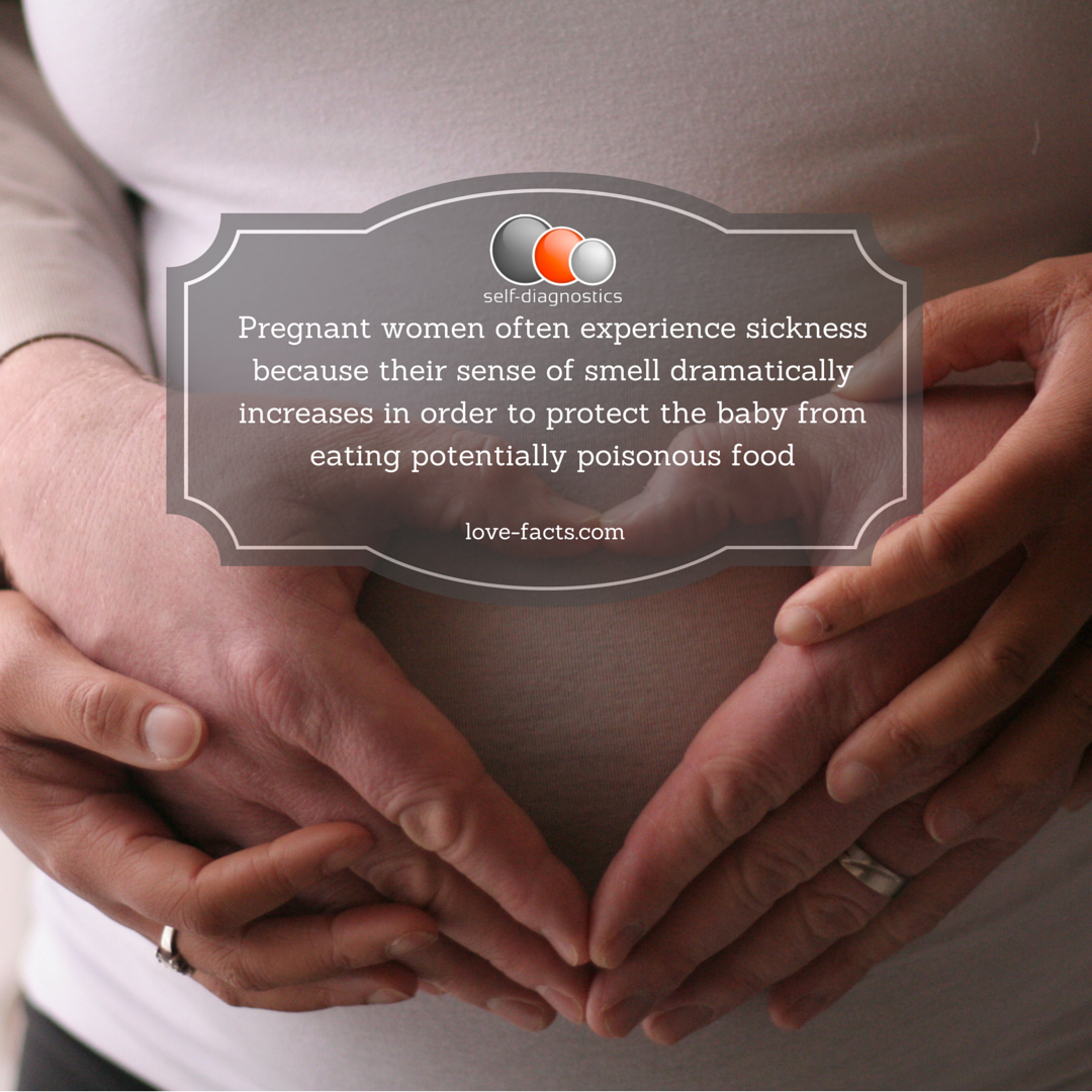 selfdiagnostics's tweet photo. Are YOU #pregnant ? CHECK NOW https://t.co/k9fNnsVR5E #pregnancy #babycoming #testyourself #easyathome #futuremaman https://t.co/y9Dumw9Gce