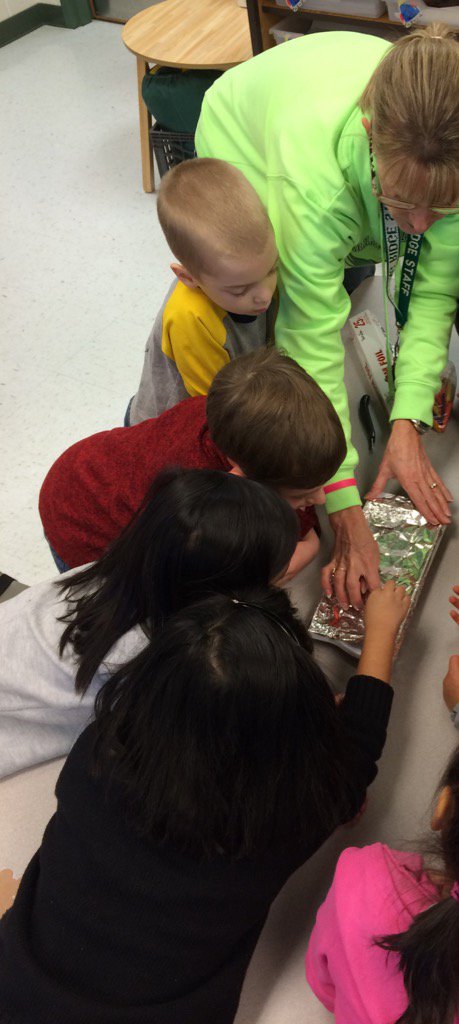 Nicole Yavulla tweet media