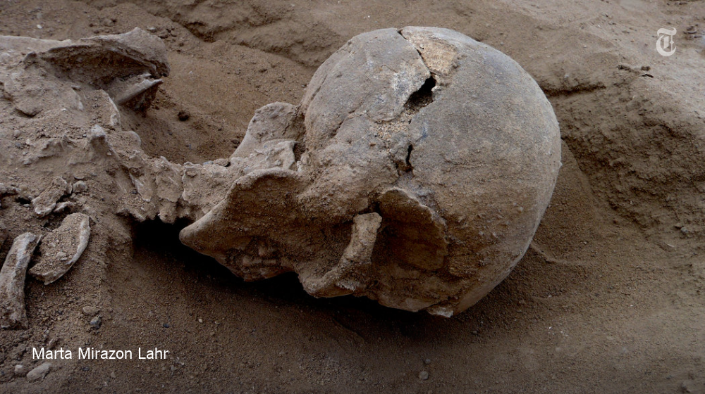 NYTScience's tweet photo. It may be the first instance of a massacre in an ancient hunter-gatherer society https://t.co/S8L2FaHvXF https://t.co/QygVmfNzZG