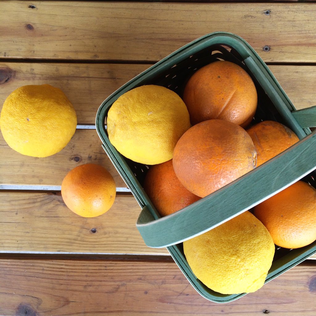 swamprabbitcafe's tweet photo. When life gives you lemons, you drive to Charleston and get lemons. #localcitrus #foodhub #yeahTHATgreenville https://t.co/NJczB7jGvQ
