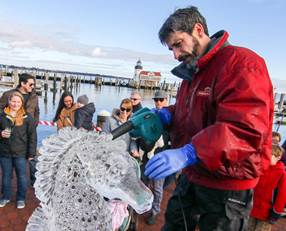 CTTechHS's tweet image. Amazing work! #GoodwinTech culinary teacher, Gary Costa, created over 20 sculptures at the #FireAndIceFestival: