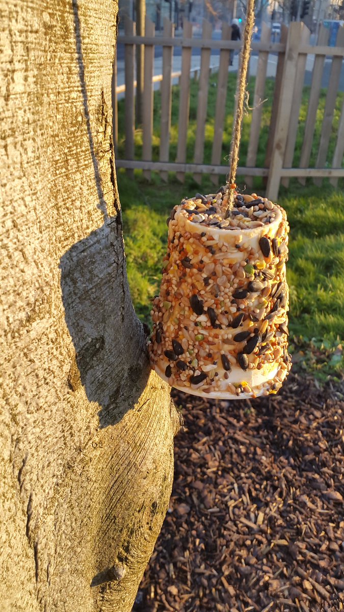 Ruth Arnott On Twitter Chobham Pupils Making Peanut Butter Bird