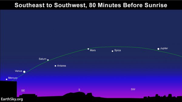 buzzingwithbee's tweet photo. #fiveplanetsalign For a month, you can witness 5 planets at once! https://t.co/ErfLV6ooGX https://t.co/QU6zbuWAfy