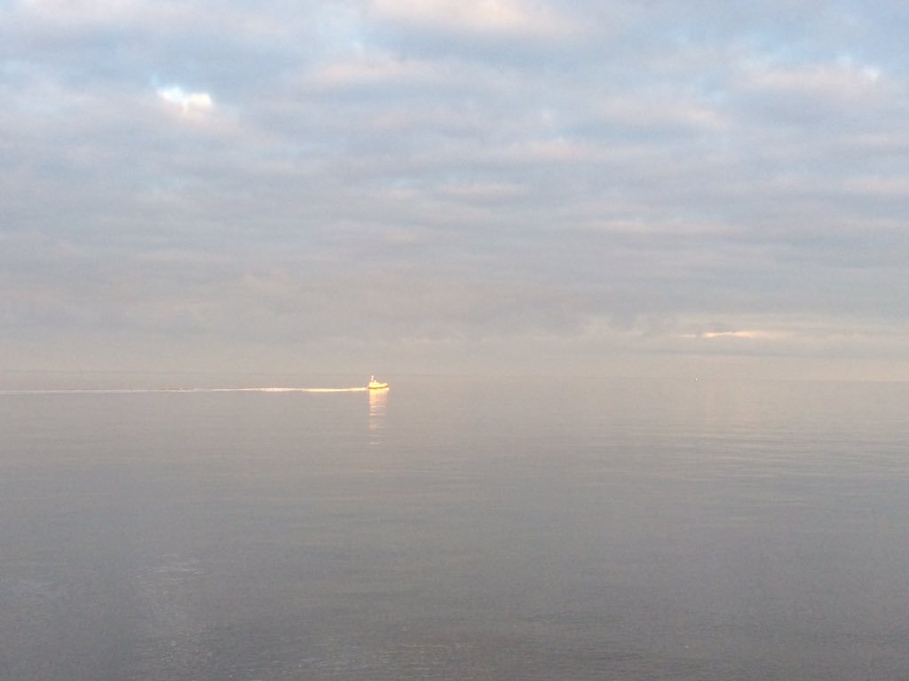 Jainesseafood's tweet image. Humber estuary office view #eatmorefish #seafooduk  #fancyaswim