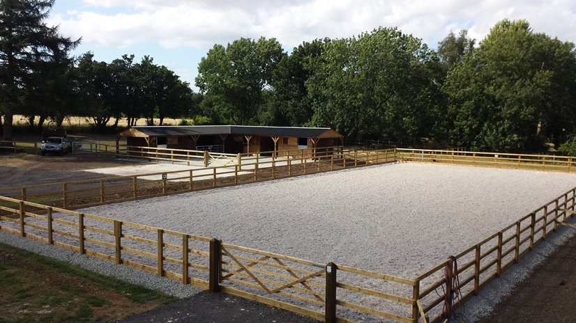 Mark Scott tweet media