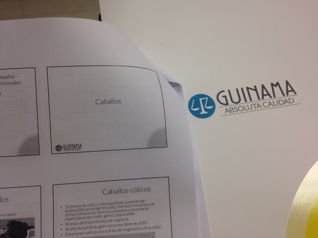 GUINAMA's tweet photo. Seguimos con la 2 parte del seminario ahora nuestra directora @TecnicaGuinama nos habla de los caballos.#formulando https://t.co/KF8MiDkuDt
