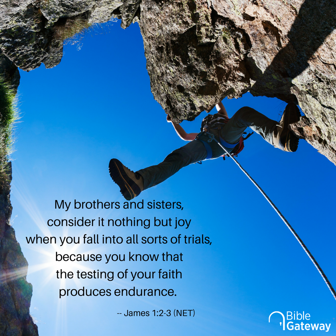 biblegateway's tweet image. "…endurance…"
James 1:2-3 (NET)
➽biblegateway.com/passage/?searc…
#Biblecelebration #votd #NETBible @bibleorg #Bible #dbv