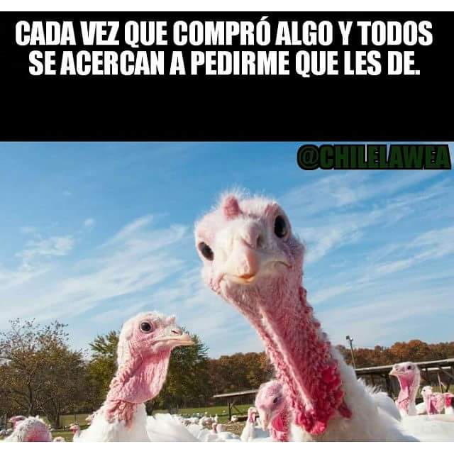 chilelawea's tweet photo. #valparaiso #iquique #viña #chilelawea #laserena #santiago #arica #antofagasta #valdivia #temuco #talca #Concepcion https://t.co/ySXGj727Rx