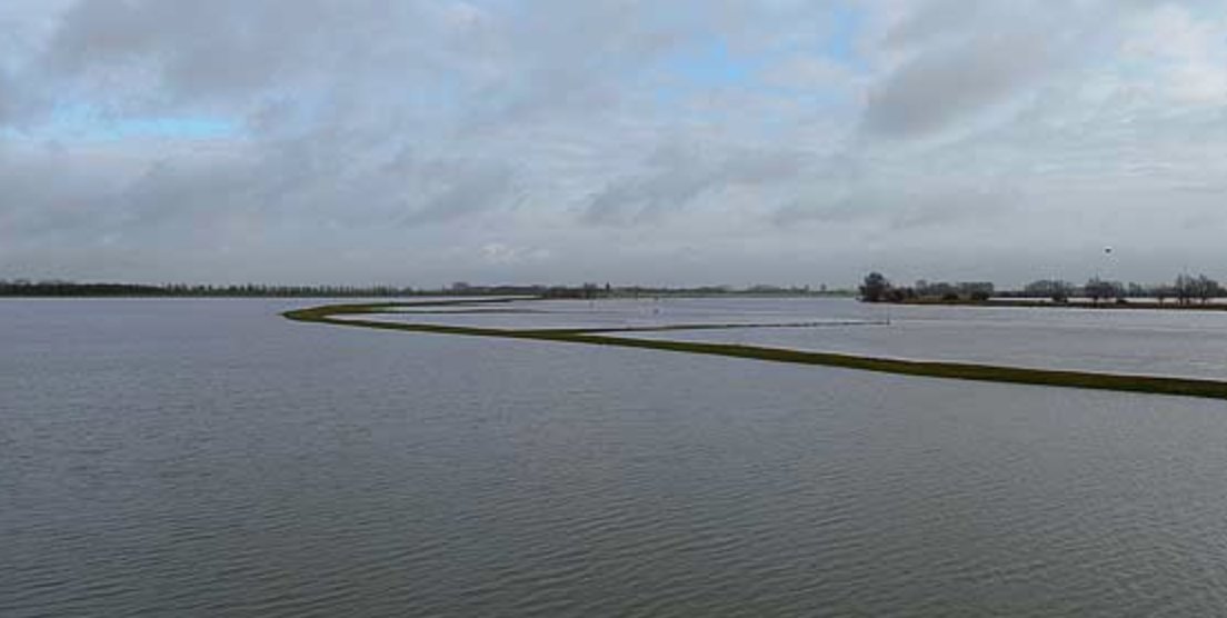 DutchSchoolofLA's tweet photo. Seminar @Makeblijde 22 Jan.
What can parties do to enhance awareness about climate change?  https://t.co/BCeUVRg0gW https://t.co/NV55d7nXM8