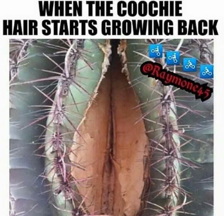 C_Note_32's tweet image. 