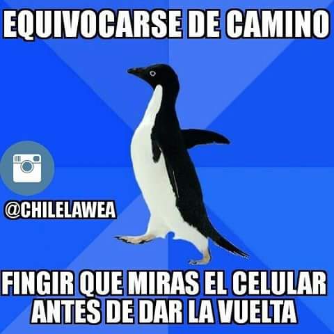 chilelawea's tweet photo. #valparaiso #iquique #viña #chilelawea #laserena #santiago #arica #antofagasta #valdivia #temuco #talca #Concepcion https://t.co/Gf7RsLogzM
