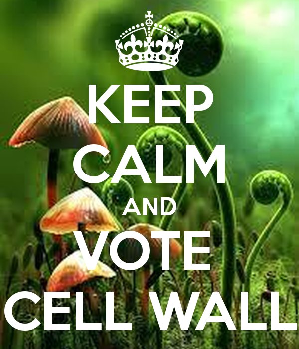 CellWall20's tweet photo. #VoteForCellWall #2k16 https://t.co/jTcQLg3rTg