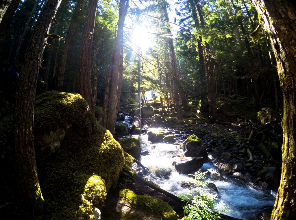 johnachau's tweet photo. An Expedition Into the North Cascades - Day 3 https://t.co/qHskQE2KVv https://t.co/jbKt5ZZ5Pq