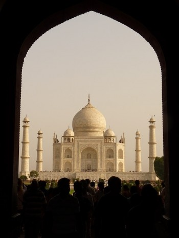 Tammysdragonfly's tweet photo. #THRILLER
@RonChatterjee7
THE COLONY OF ROSES
Murder &amp; Mayhem In 1960's India
#ASMSG 
https://t.co/4cbkX8glMd. https://t.co/UV5vi7yRyA