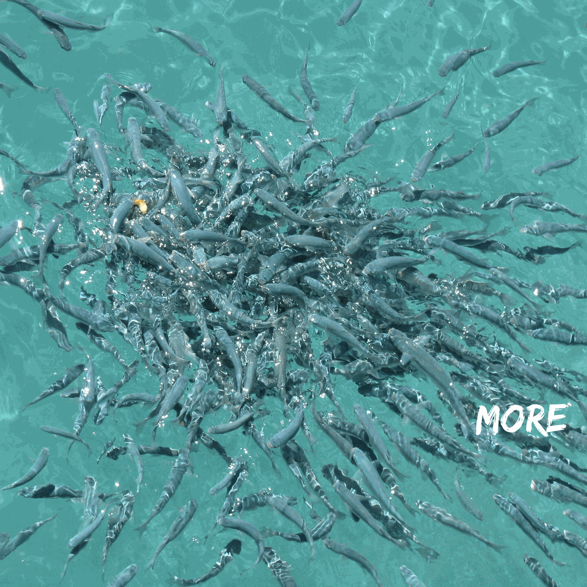 SonoranM's tweet image. #SEM #FrontDesk #FieldTechs close more calls per day with #Mobile #Ticketing #ServiceHistory sem.sonoransys.com