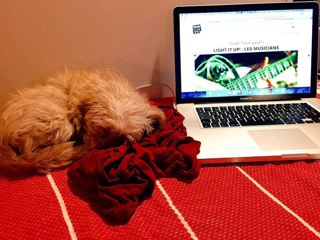 EllieSaxophone's tweet photo. Updating our @Warble_Ents profile and look who came to help... #Mabel #Mascot #chill #SaxDog https://t.co/laAgKiIQBt