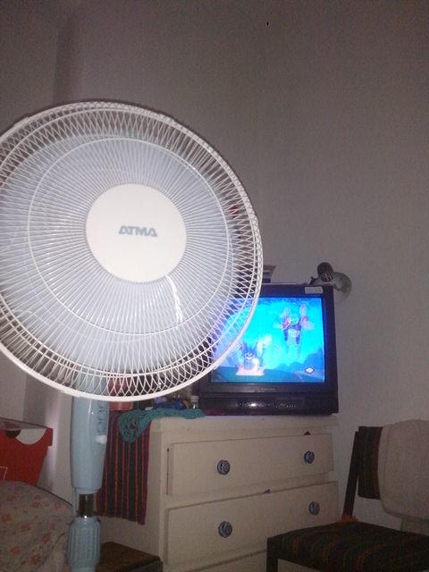 _Calee333_'s tweet photo. Que leeendo tener un ventilador nuevo,estar pancha y mirando Tom y Jerry :) #Felicidad #ventilador #pacate https://t.co/wxZ3wcesZa