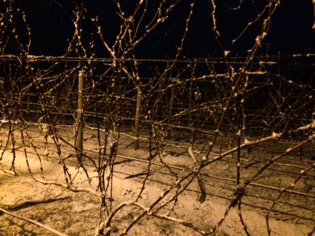 First snow of 2016 on Sunday, what will happen this weekend?  Stay tuned...