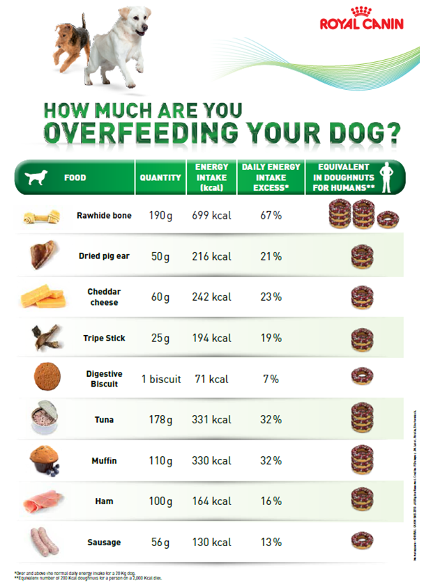 Dog Treat Calorie Chart