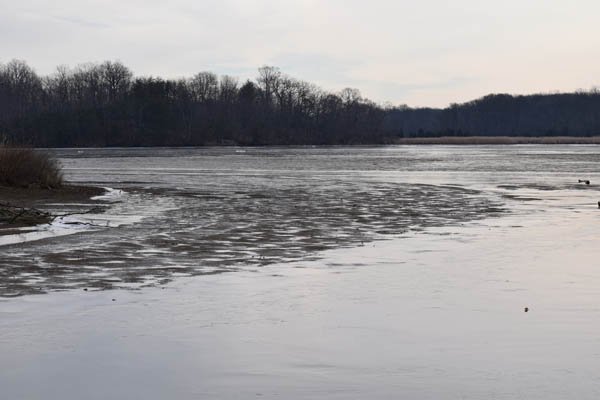 SERCfisheries's tweet photo. Experiencing extreme low tides this morning. #ChesapeakeBay #FrozenMud #NoFieldWorkToday @NOAA @NWS_BaltWash https://t.co/c1okb2B57J