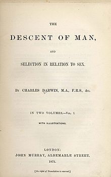 CarlesDarw1n's tweet photo. An other book!
The Descent of Man, and Selection in Relation to Sex https://t.co/yiqasxsIep