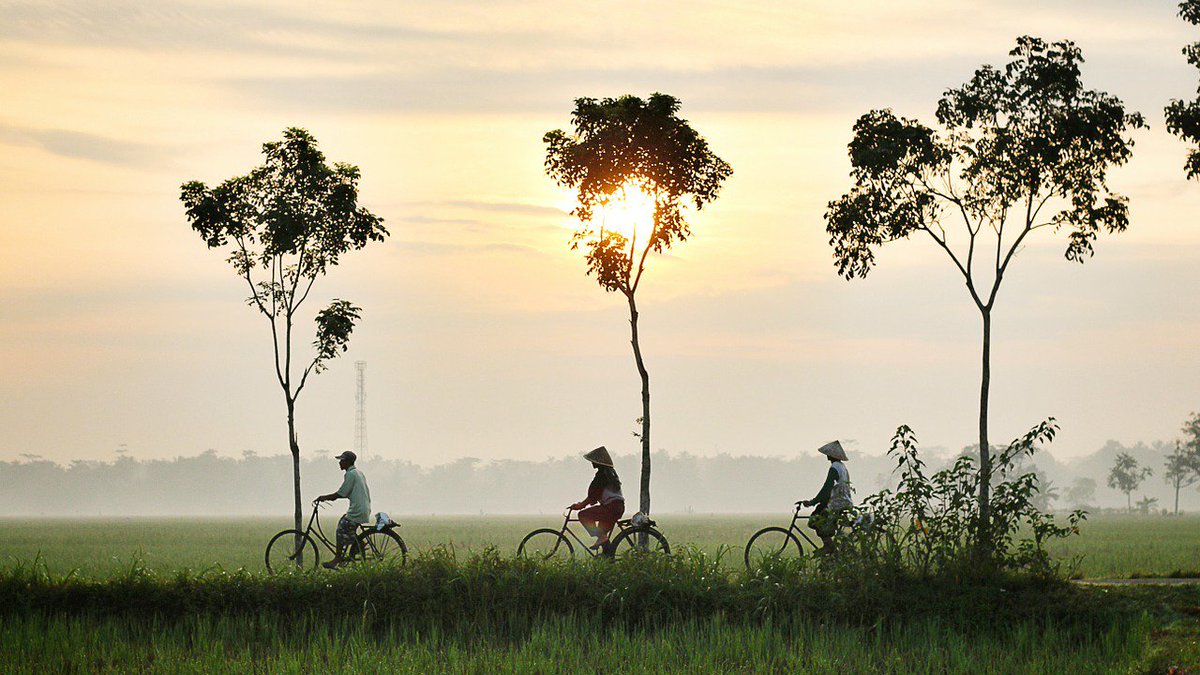 Put down your phone and pick up a #bike. Experience the world in a different way traveltastic.net