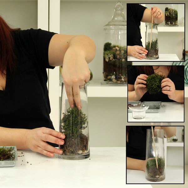 LandscapingNews's tweet photo. Make your own terrarium with @twigterrariums! https://t.co/sP08xlmnr5 https://t.co/80UIK6T800