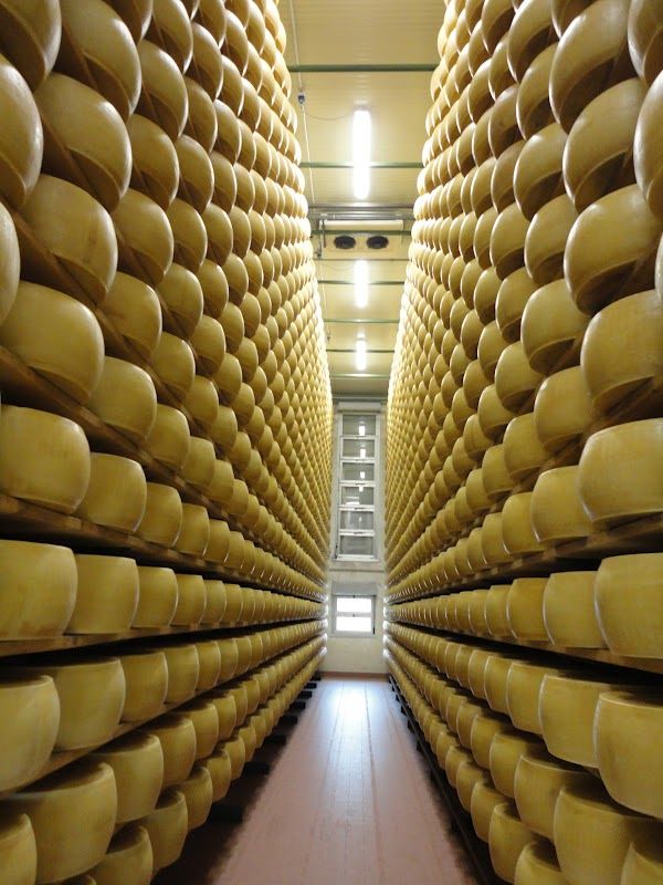 BudgetTravel's tweet photo. Happy #NationalCheeseLoversDay from Parma, #Italy! https://t.co/gWhJteXwDW