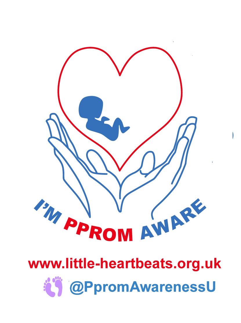 WD_Racing's tweet photo. From the UK to the US we support each other in a mission to spread PPROM Awareness. https://t.co/4pBnLq8rWq