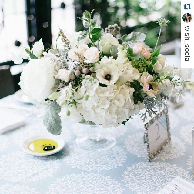 NVLinens's tweet image. Our uber pretty Kate Wedgwood linen with gorgeous flowers! #Repost @wish_social ・・・
All kinds of winter pretty with…