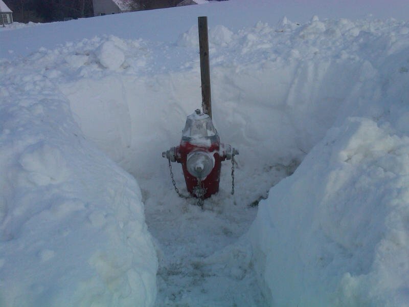 Sparky the Fire Dog tweet media