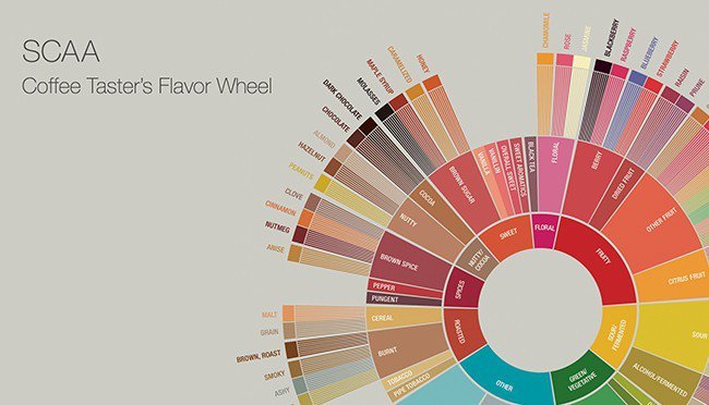 thecoffeebrothe's tweet photo. S.C.A.A Taster’s Flavor Wheelを21年振りに更新 | the coffee brothers https://t.co/B1DVYblBFj #コーヒー #coffee https://t.co/In1EsYHWUU