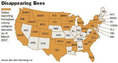Doug_3260's tweet photo. @ARE3260 Colony Collapse Disorder is a topic that should be talked about more around the world #myfoodissue https://t.co/Hwl6ADLdui