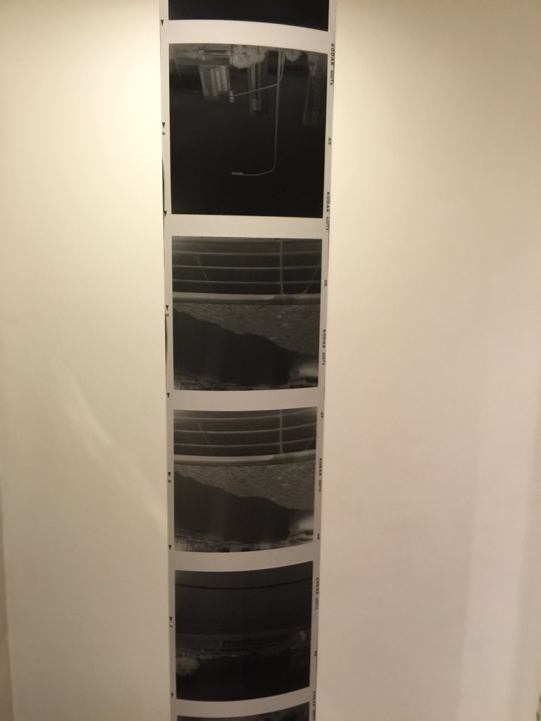 HolgaDirect tweet media