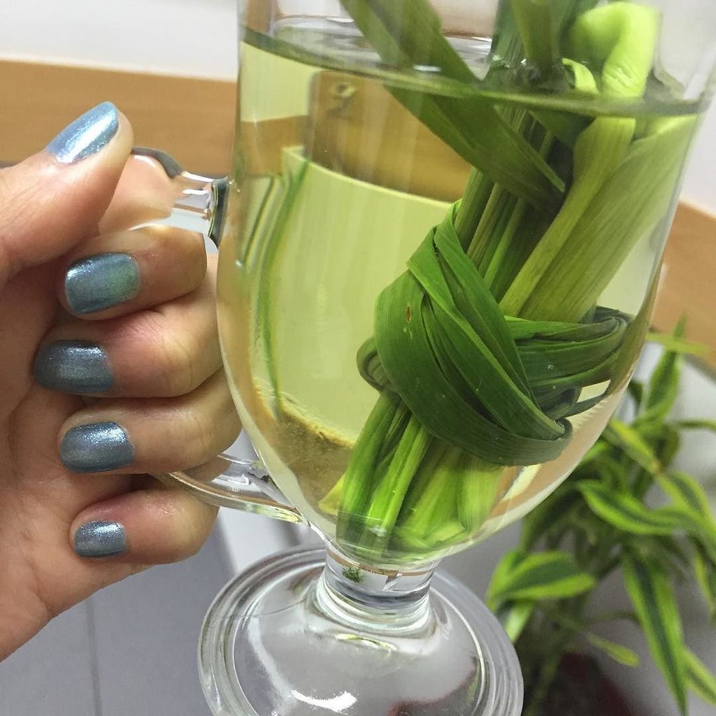 carlapaolaruiz's tweet photo. #GelEnvyRevlon día 2. https://t.co/PomhCiu4FN https://t.co/JIfetbxvEO