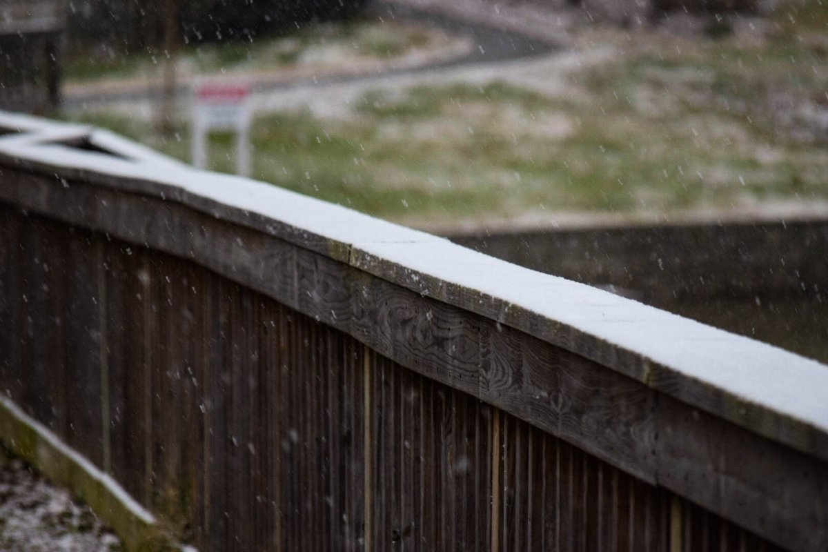 TimBuckleyWX's tweet image. The snow was fun to watch earlier in Greensboro. #ncwx #TriadWx #GotSnow